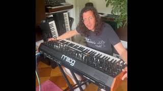 Some dabbling with the Moog MUSE:- Legowelt