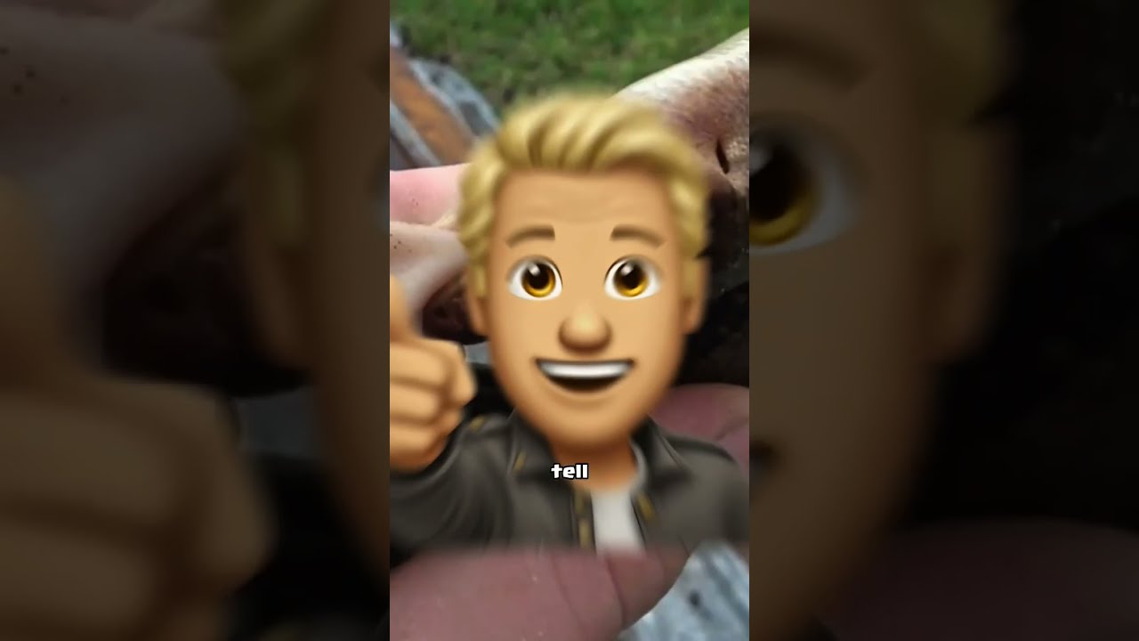 Don T Click The Sound Shorts