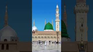 Ya Nabiﷺ Salam Alaika Ya Rasool Salam Alaika 🙌🌹#madina #rasoolallah #muhammadﷺ #salam #shorts #dua