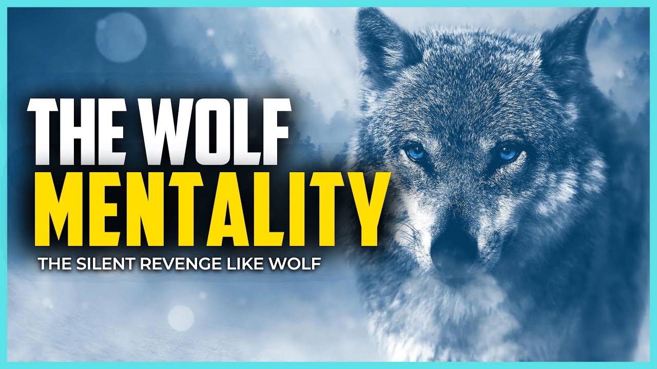 The Silent Revenge Wolf MENTALITY Best Motivational Video And