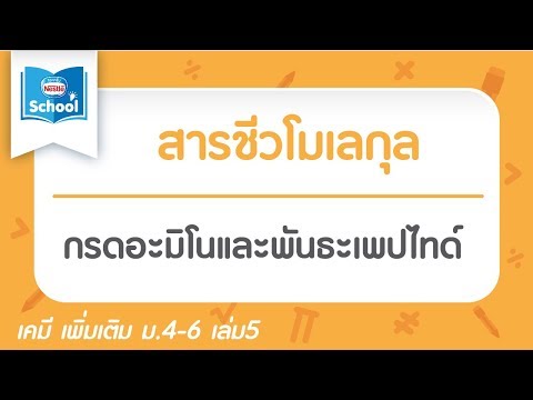 13.3.1 กรดอะมิโนและพันธะเพปไทด์