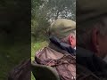Bait Stealing Robin!