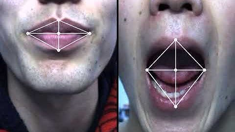 Lip-sync Personal Authentication System Based on the Movement Feature of Lip, biometrics