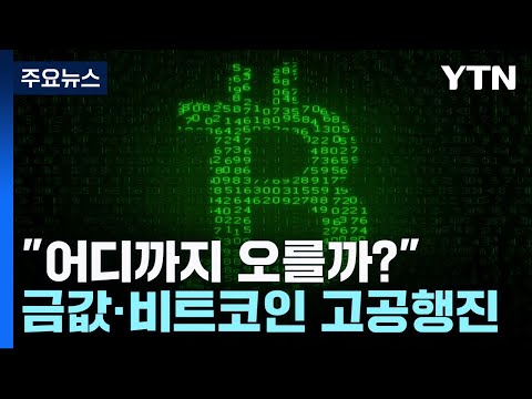 어디까지 오를까 금값 비트코인 고공행진 YTN 