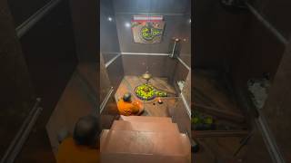 महदव मदर दवभम