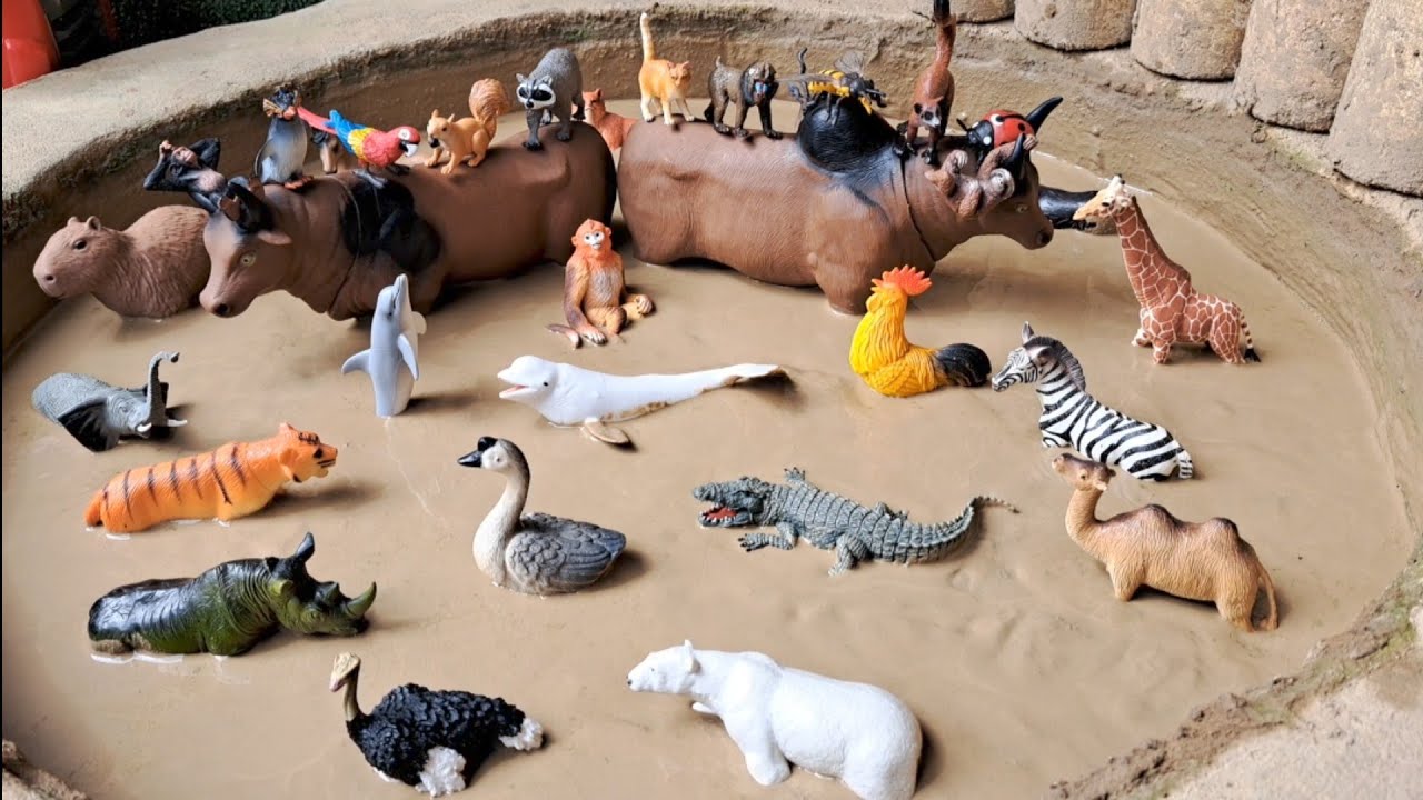 Animais de Plástico Presos na Lama Tigre Elefante Zebra Cavalo Girafa Rinoceronte Camelo Galo