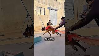 彼は、その犬が成功しないと思いました。