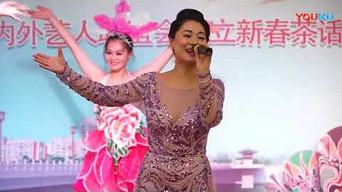 2018，1，17連江閩劇團六十周年慶下集 高清 - 天天要聞
