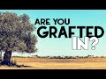 Are You Grafted In?