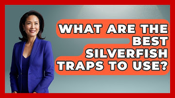 What Are The Best Silverfish Traps To Use? - Insects and Invaders