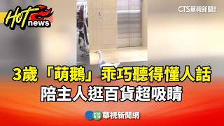 台中百貨遛鵝實錄：三歲咪咪穿訂製布鞋聽人話過馬路