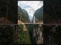 From jungle to luxury sky bridge 🌉✨ Unbelievable transformation! #Viral #Trending #FYP #reelsvideoシ