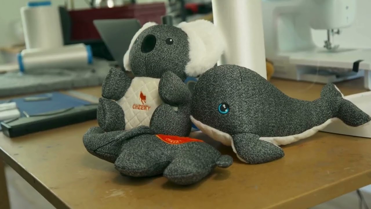 VIDEO CHEEKY DOG TOYS, INDESTRUCTIBLE DOG TOYS