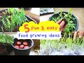 Food that kids can grow during the lockdown find everything in your kitchen  ekta chaudhary