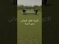 الازولا العلف المجانى مدى الحياه