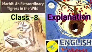 Machli:An Extraordinary Tigress in the Wild #explanationMachliAnExtraordinaryTigressintheWildEnglish