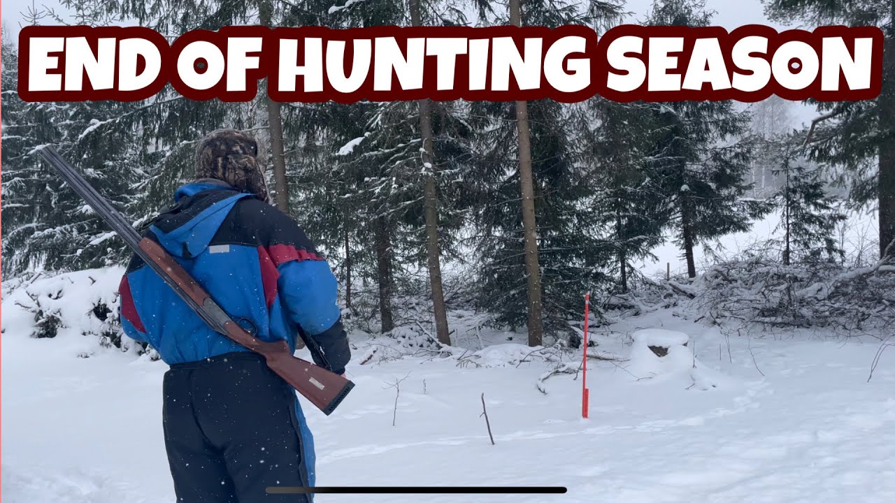 LAST WEEKEND FOR HUNTING END OF HUNTING SEASON 2023 FINNISH HUNTING last-weekend-for-hunting-end-of-hunting-season-2023-finnish-hunting