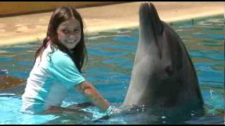Dolphin Kids Experience by Vallarta Adventures