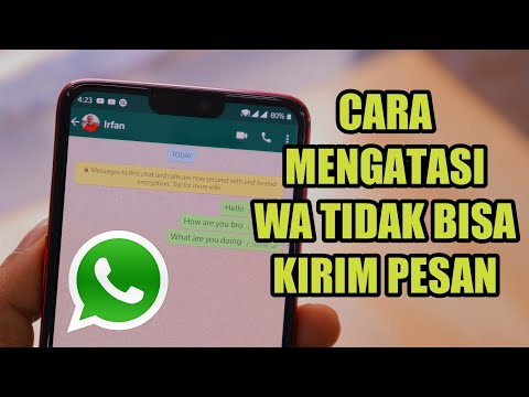 Kenapa wa tidak bisa menerima pesan padahal jaringan bagus