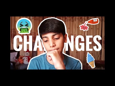 Icecream With Ketchup | Doing Your Challenges | Vlog 8