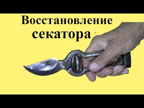 Восстановление СЕКАТОРА