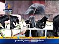 Snake Attacked by Bear at Kakatiya Zoological Park in Warangal