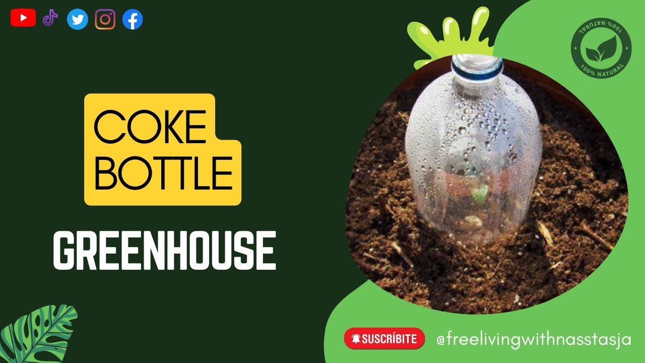 Coke Bottle Greenhouse YouTube