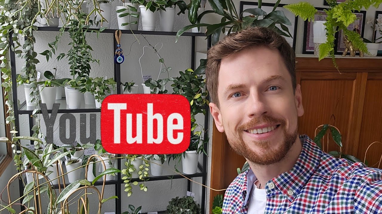 Хойи. Выбрал 15 любимых экземпляров из моей коллекции. Красивые сорта с названиями.