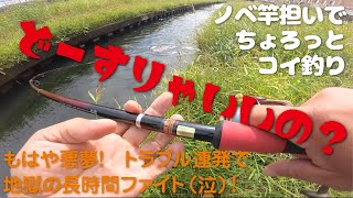 【のべ竿担いで】ちょろっとコイ釣り【泣きたくなる釣り in 国分川】