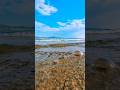 Восточно-Казахстанская Область #казахстан #вко #природа #оскемен