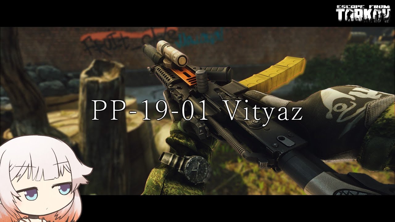 PP-19 ”Vityaz” 700RPMでPBPを撃てるSMGだと!【ONE実況】【タルコフ