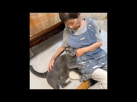 82歳ばあちゃんとラテちゃん - YouTube