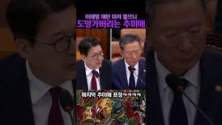 "이재명 상관 없다며?" 신동욱이 재판 막는 민주당 팩트로 박살내자 도망치는 추미애 ㅋㅋㅋㅋ