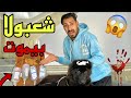شعبولا بقاله اكتر من اسبوع مش بياكل وعايش علي المحاليل 