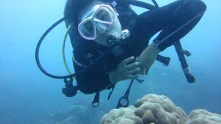 Things to do during your dive safety stop #02