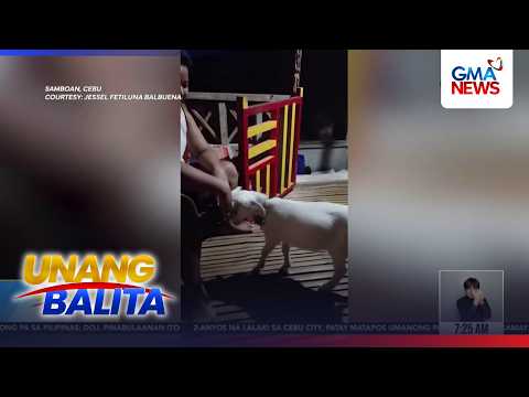 Kambing na tila marunong magmano, kinagigiliwan online | Unang Hirit