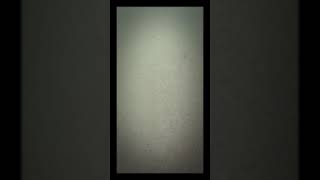 Chlogan Breaks Up Snapchat Stories