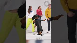 Dancing Dog Surprises Everyone!