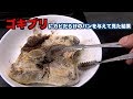 臭いゴキちゃんに臭いカビだらけのパン与えて見た結果。