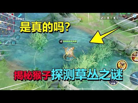 耀哥求真相：有猴子在躲草丛也没用？揭秘猴子探测草丛之谜