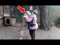 Stray Dog Recognizes The Woman Before Him – And Started to Cry!