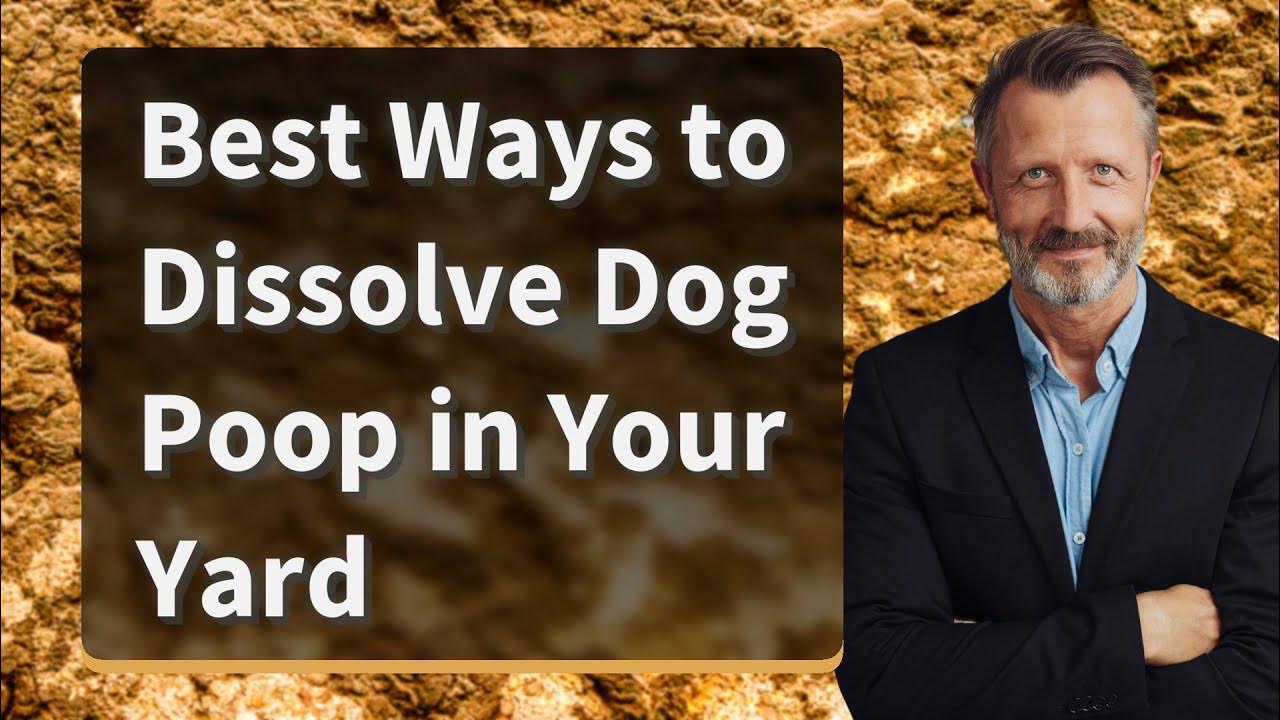 Best Ways to Dissolve Dog Poop in Your Yard YouTube