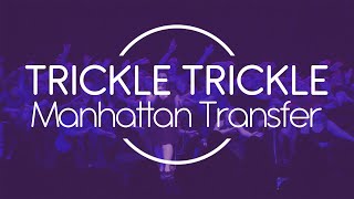 Trickle Trickle - Spring 2018 Showcase