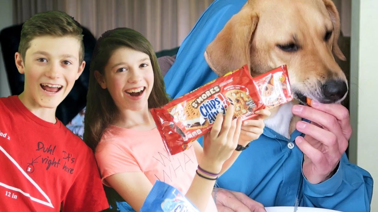 Not my Arms Challenge The Chips Ahoy Song YouTube