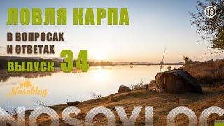 Карпфишинг в вопросах и ответах №34, Колесников А.