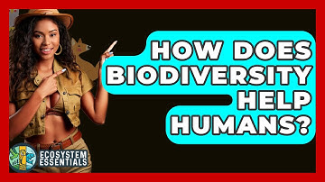 How Does Biodiversity Help Humans? - Ecosystem Essentials