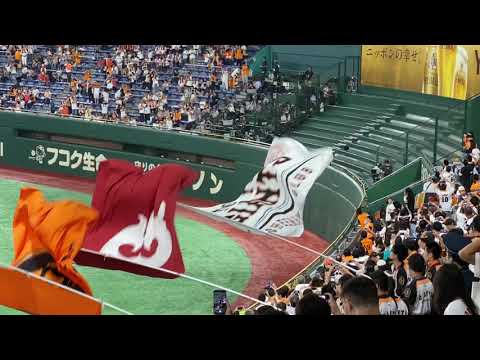 2019 09 27　東京ドーム　巨人　バッテリー発表