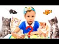 Nastya và những chú mèo con hài hước và dễ thương nhất