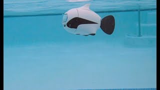 BIKI is a Bionic Underwater Fish Drone