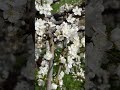 Каждая погода - благодатъ